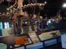20061013-02_bigroom.jpg