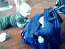 sbb_20080922_13301.jpg