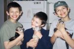 ferret-02.jpg