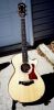Filename=taylor1.jpg
Filesize=14KB
Dimensions=187x378
Date added=Feb 25, 2004 taylor1.jpg