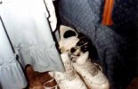 baby_shoes.jpg