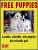 freepuppies2.jpg