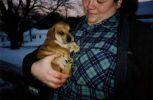 puppy1.jpg