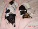 sleeping_03047_sbb.jpg
