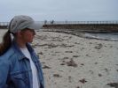 sd20050615-05_lajolla.jpg