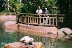 sd20050616-03_sealion1.jpg