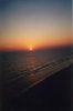 Filename=florida1998-sunset2.jpg
Filesize=11KB
Dimensions=283x425
Date added=Feb 23, 2004 florida1998-sunset2.jpg